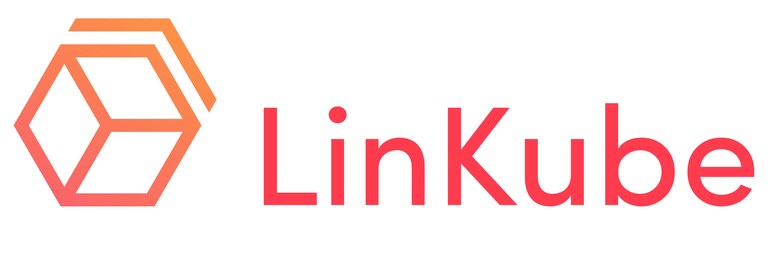 Linkube - logo